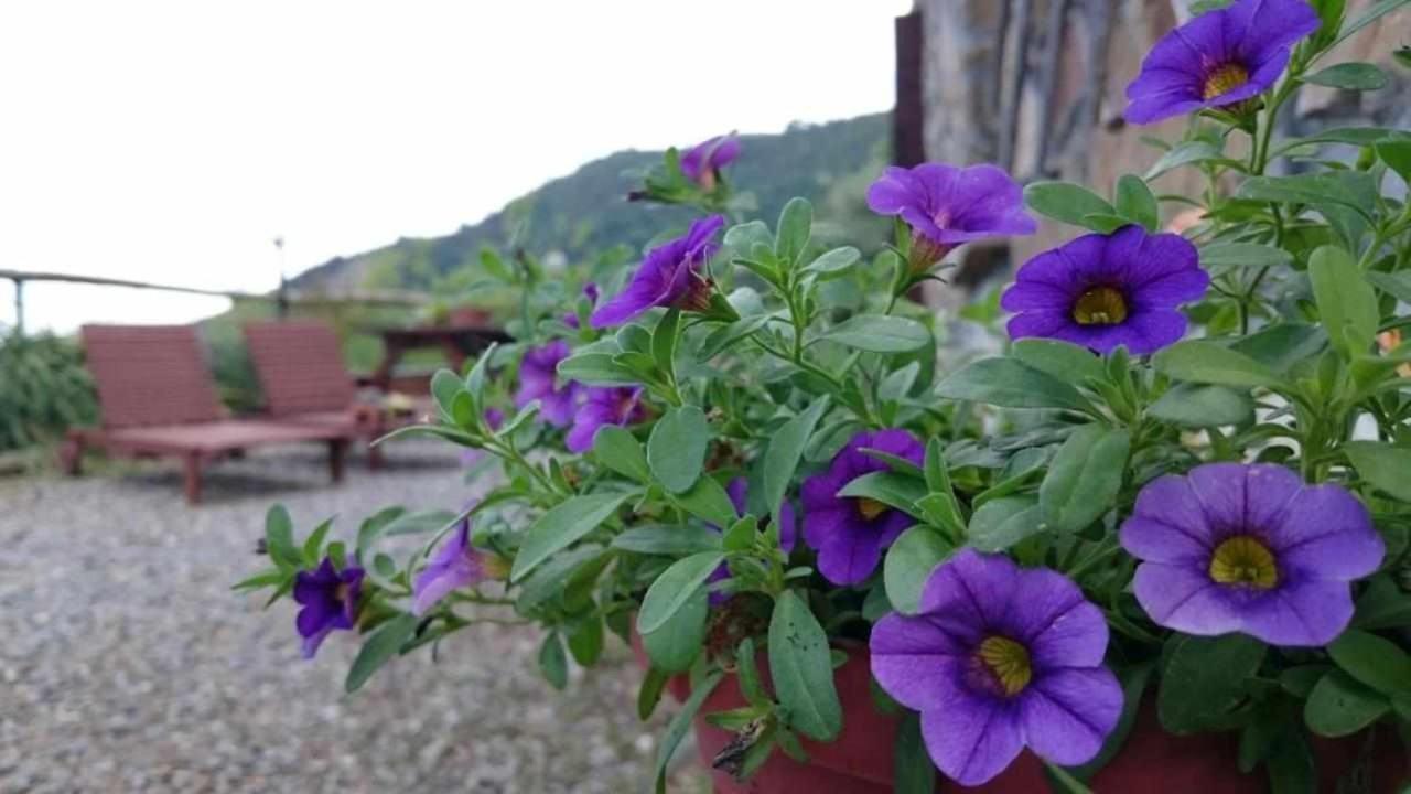 Agriturismo Al Pagan 피냐 외부 사진