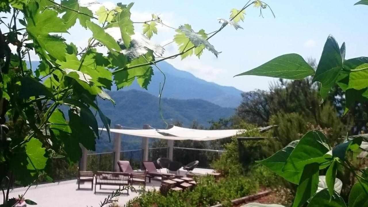 Agriturismo Al Pagan 피냐 외부 사진